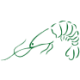 Logo NATURALSH