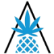 Logo PINE EXPRPAR