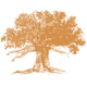 Logo LANDMARK LAND CO. DL-,50