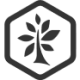 Logo LTS NUTRACEUTIC.DL-,00001