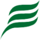 Logo PIONEER B