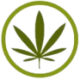 Logo CANNABIZ BOBILE DL-,001