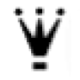 Logo REGNUM