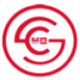 Logo HOLISTIC ASS.F.G. DL-,001