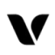 Logo VERI MEDTECH HOLDINGS