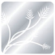 Logo SILVER FIELDS RESOURCES