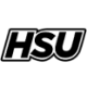 Logo Hoops Scouting USA