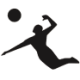 Logo AVP INC. DL-,001