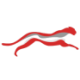 Logo Cheetah Net