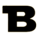 Logo BITRUSH CORP.