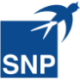 Logo SNP Schneider-Neureither & Partner