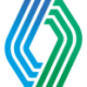 Logo RYOYO RYOSAN HLDGS INC.