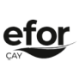 Logo EFOR CAYPAR