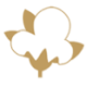 Logo DCT TRADPAR