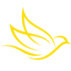 Logo CANARY GOLD CORP.