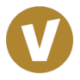 Logo VENU HLDG CORP. ON