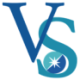 Logo Vision Sensing Acquisition