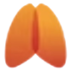 Logo ORGANA TE