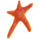 Logo H. Lundbeck A
