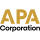 Logo APA