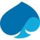 Logo CAPGEMINI UNS.ADR 1/5/EO8