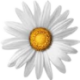 Logo Implenia