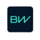 Logo BorgWarner
