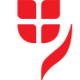 Logo VIEA INSUSADR