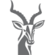Logo Impala Platinum Holdings