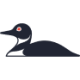 Logo Johnson Outdoors