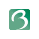 BAKR GLOBPAR Logo BAKR GLOBPAR