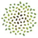 PACSCo Logo PACSCo