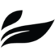 Leef Brands Logo Leef Brands