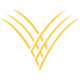 GOLN VY Logo GOLN VY