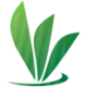 Replenish Nutrients Logo Replenish Nutrients