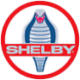Logo CARROLL SHELBY DL-,001