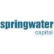 SPRINGWATER SP.A DL-,0001 Logo SPRINGWATER SP.A DL-,0001