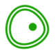 Logo Biomea Fusion