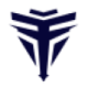 Logo CHINA DONGSHENG IN.DL-,01
