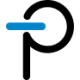 Power Integrations Logo Power Integrations
