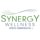 SYNERG.WELL.PROD.DL-,0001 Logo SYNERG.WELL.PROD.DL-,0001