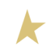 Golden Goose Logo Golden Goose