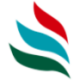 Logo BON NATURAL LIFE DL-,001