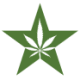 Logo American Green