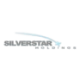 Logo SILVERSTAR DL-,01