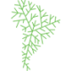 Logo SALI LITHIUM CORP.