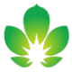 SINOPHARM TEC.TT HD-,3125 Logo SINOPHARM TEC.TT HD-,3125