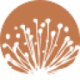 Caravel Minerals Logo Caravel Minerals