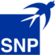 SNP Schneider-Neureither & Partner Logo SNP Schneider-Neureither & Partner