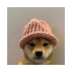 Logo dogwifhat Kurs in US Dollar